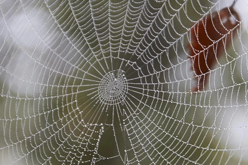 <p style="text-align:center;"><strong>Digitalpaket</strong><br>„Webdesign & mehr“</p>