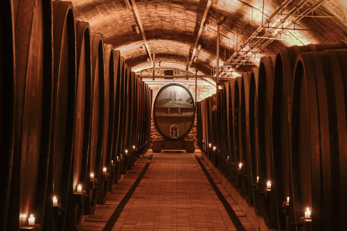 <p style="text-align:center;"><strong>Filmpaket</strong><br>„BASIC“ </p>