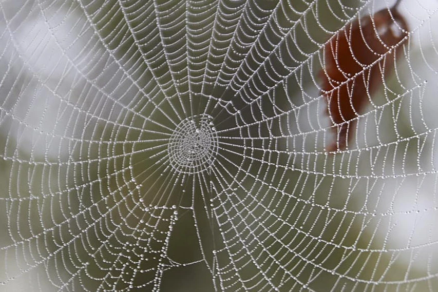 <p style="text-align:center;"><strong>Digitalpaket</strong><br>„Webdesign & mehr“</p>